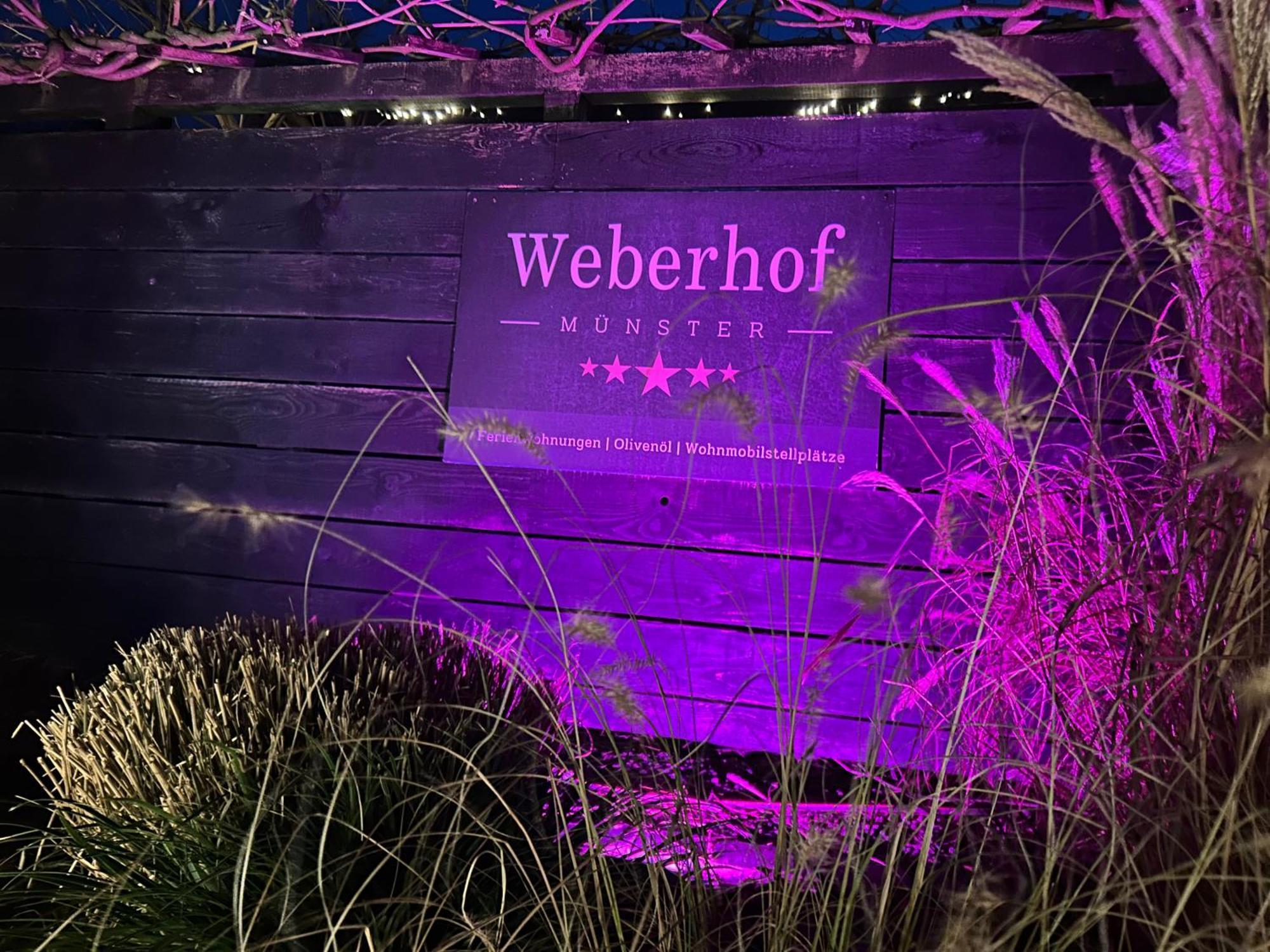 Weberhof - Muenster 아파트 외부 사진